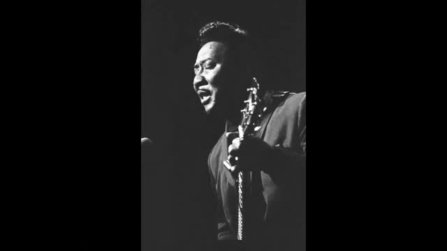 Muddy Waters - I’m a King Bee
