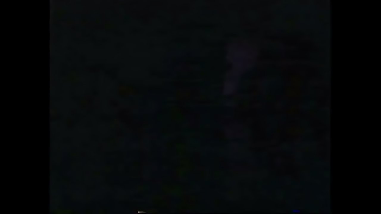 Nirvana - Pennyroyal Tea