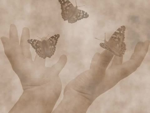 Norah Jones - Butterflies