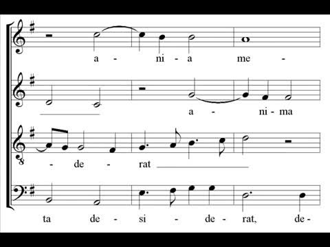 Palestrina - Sicut cervus