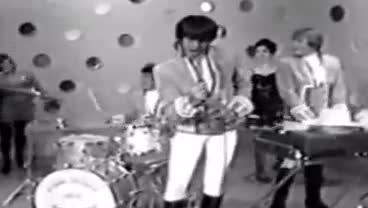 Paul Revere and The Raiders - Kicks