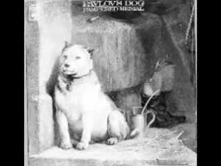 Pavlov’s Dog - Late November