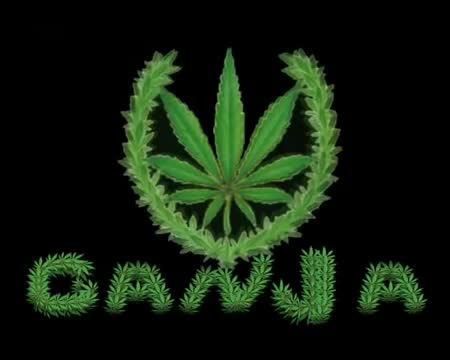 Конопля петлюра клипы из чего выращивают марихуану