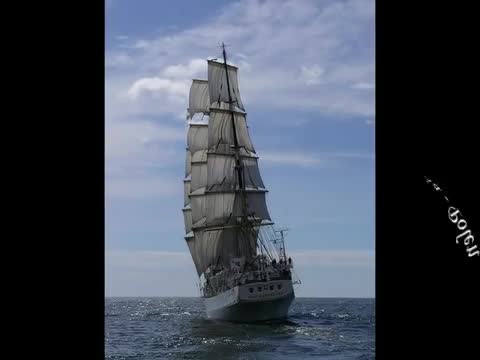 Piet Veerman - Sailing Home