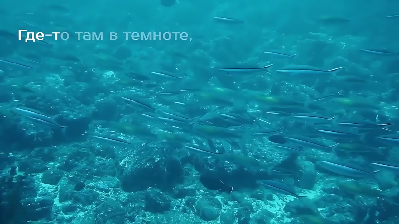 Пропаганда - Океан