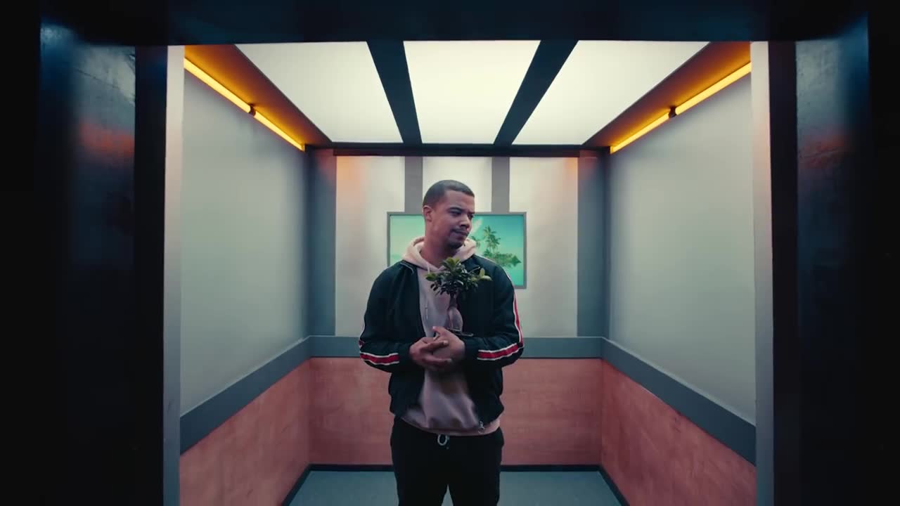 Raleigh Ritchie - Time in a Tree