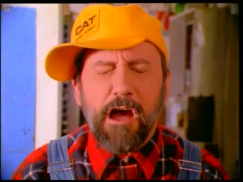 Ray Stevens - The Streak