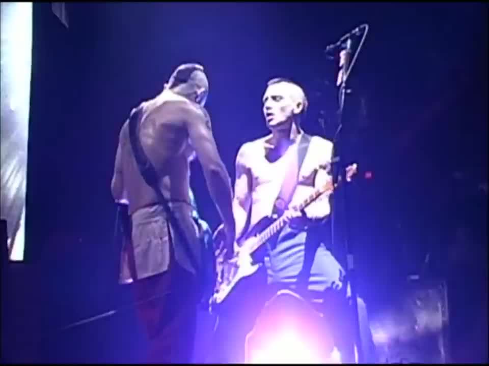 Red Hot Chili Peppers - Blackeyed Blonde