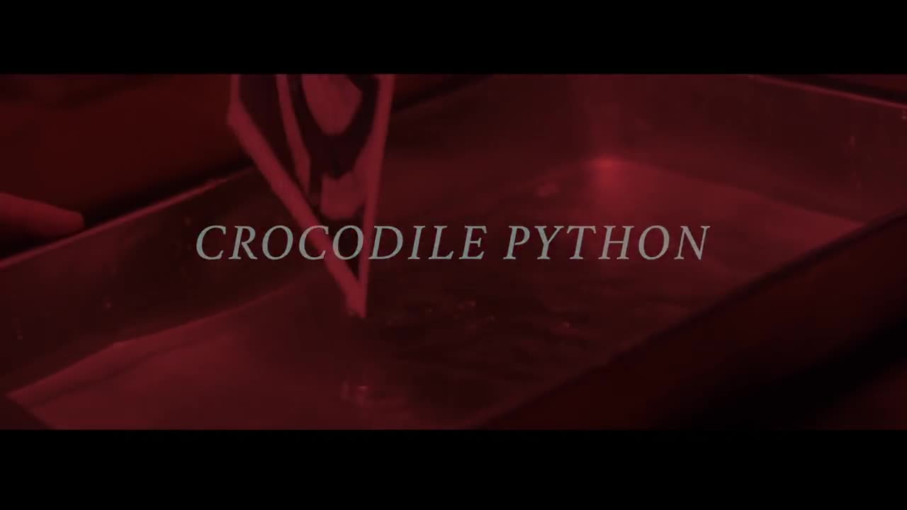 Rick Ross - Crocodile Python