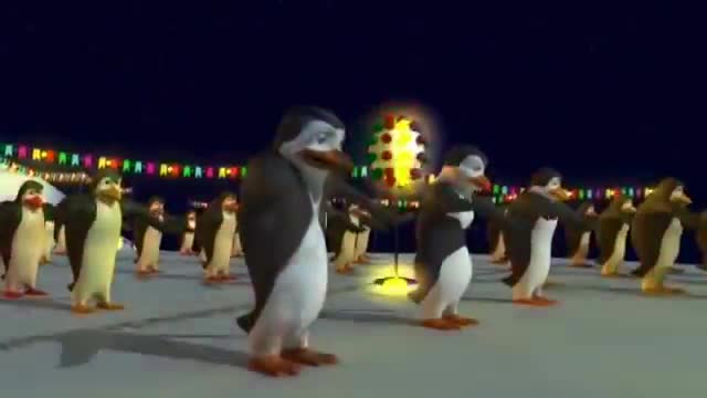 Schiffie & Co - Pinguindans
