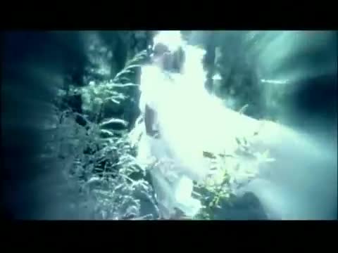 Sea Wolf - You're a Wolf