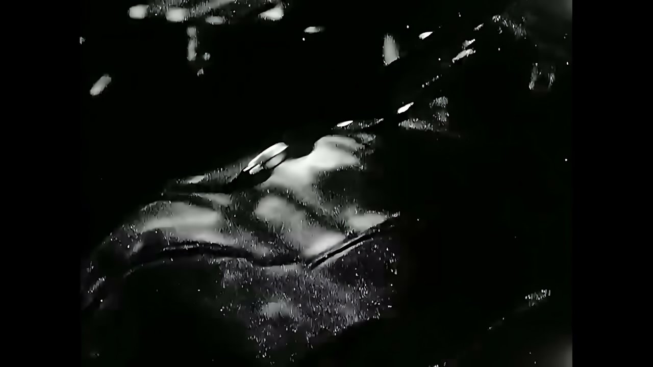 Shakira - 20 Years of Laundry Service