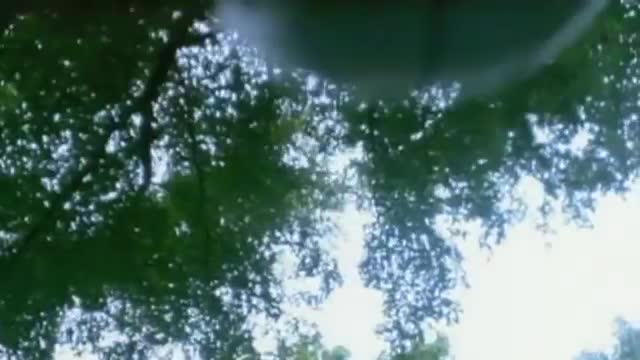 Shakira - Estoy aquí