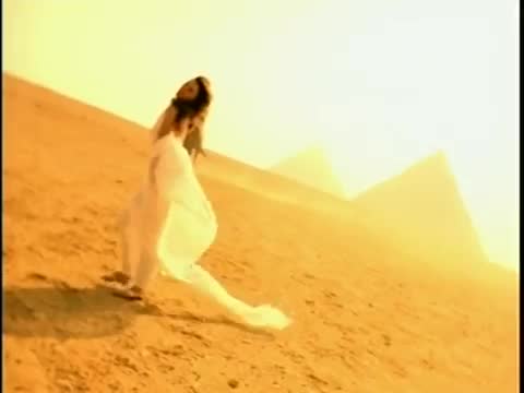 Shania Twain - The Woman in Me (Needs the Man in You)