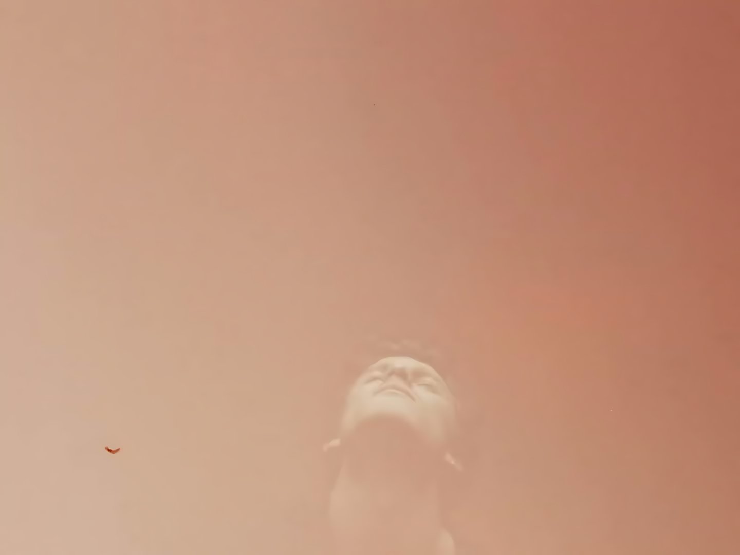 Shawn Mendes - Heart of Gold