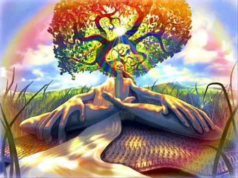 Shpongle - Shpongle Spores