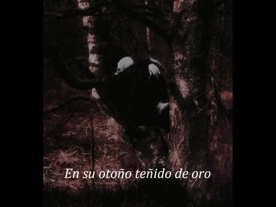 Sopor Aeternus & The Ensemble of Shadows - Alone