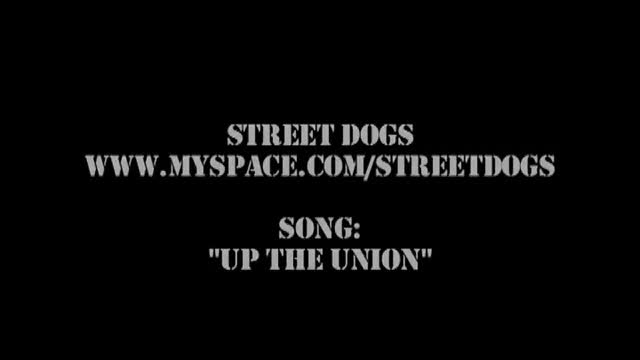 Street Dogs - Free