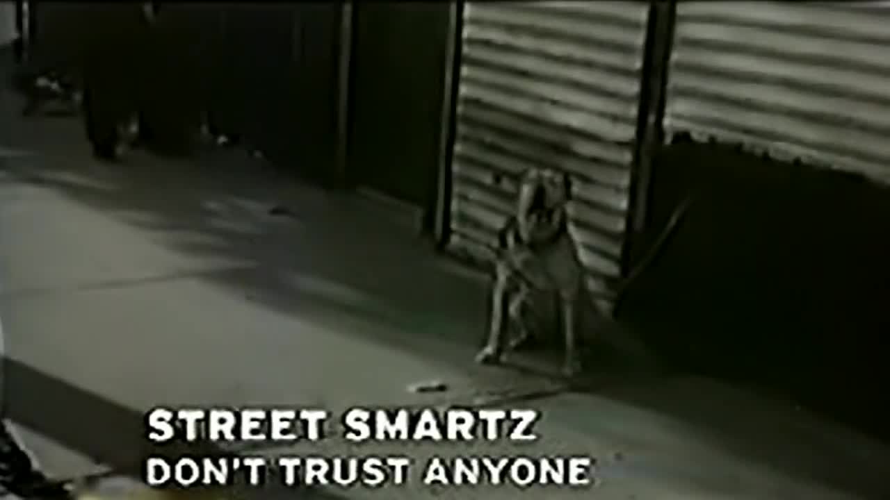 Street Smartz - Don't Trust Anyone