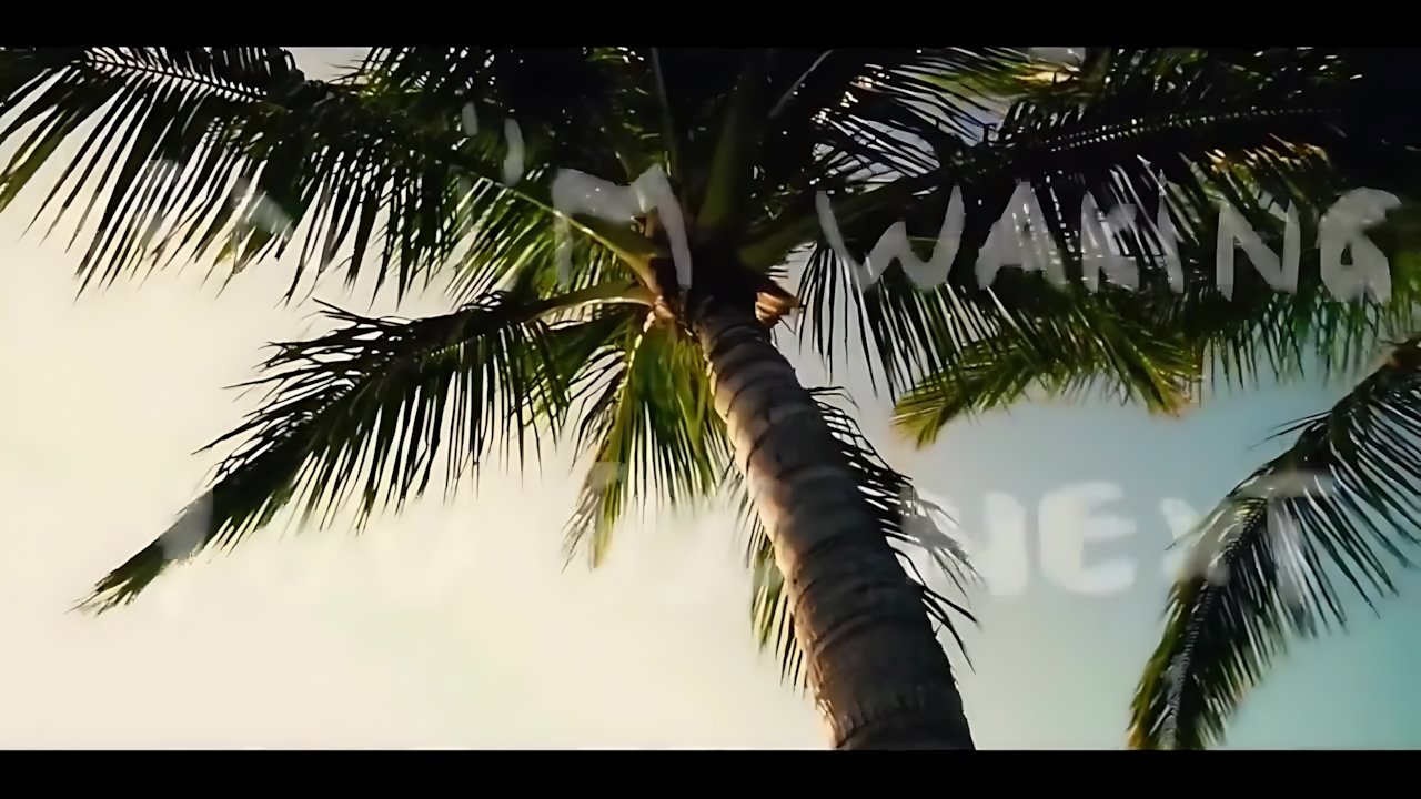 Tamiga - In Havana