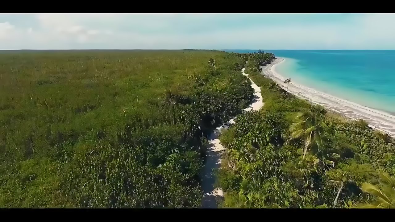 Tamiga - In Havana