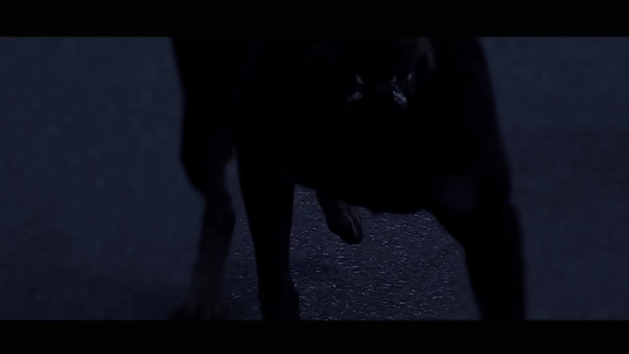 Taylr Renee - Howl at the Moon