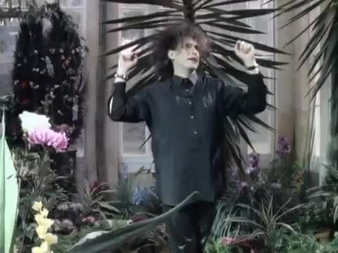 The Cure - The Caterpillar