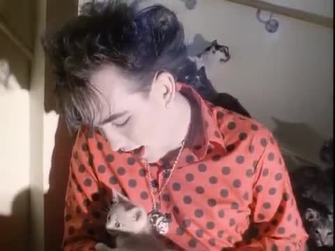The Cure - The Lovecats