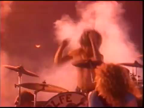 The Kentucky Headhunters - Let's Work Together