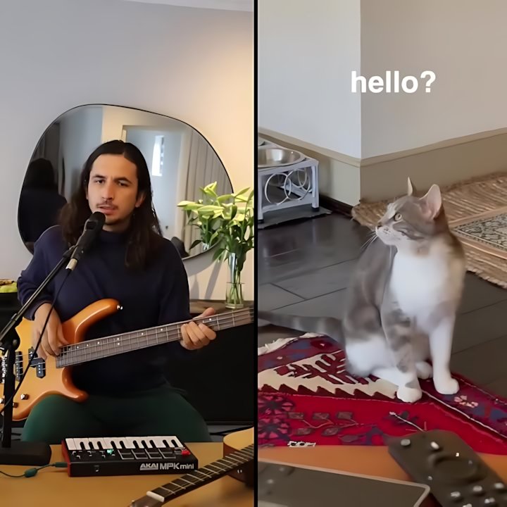 The Kiffness - Sometimes I'm Alone (Lonely Cat)