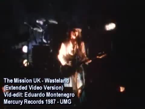 The Mission - Wasteland