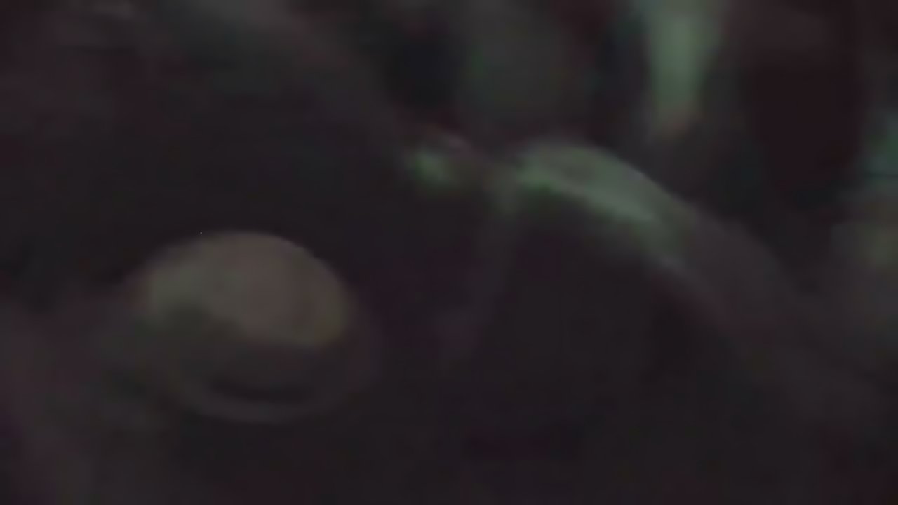 The Prodigy - Isle Of Wight Festival 2024