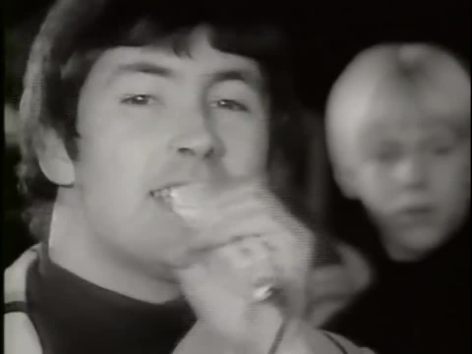 The Troggs - Wild Thing