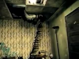 The Used - The Bird and the Worm