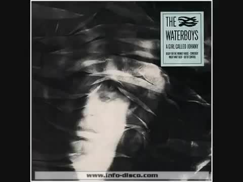 The Waterboys - A Girl Called Johnny