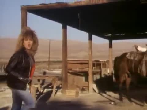 Tina Turner - What You Get Is What You See