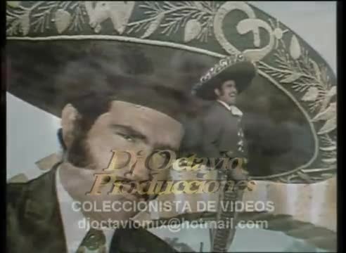 Vicente Fernández - El tahur