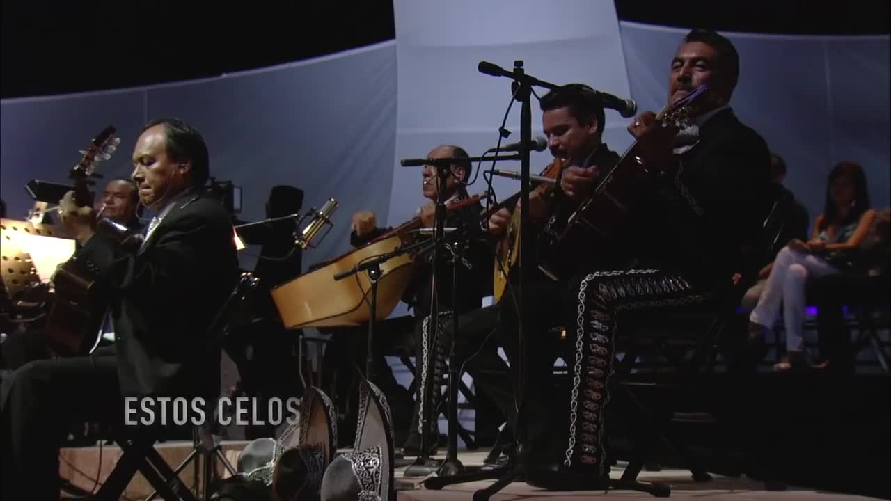 Vicente Fernández - Estos celos