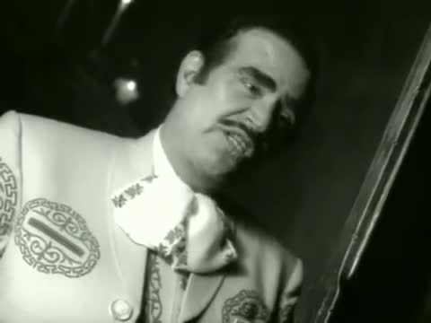 Vicente Fernández - Sublime mujer