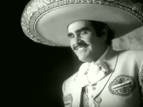 Vicente Fernández - Sublime mujer