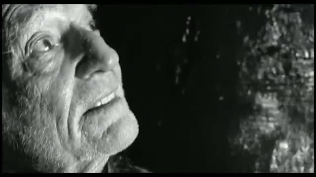 Willie Nelson - Gravedigger