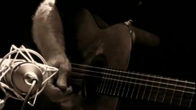 Willie Nelson - I Never Cared for You