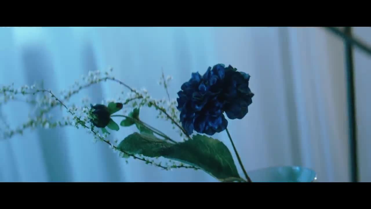 WINNER - Remember