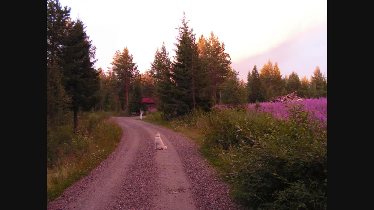 Yö - Tie sydämeeni