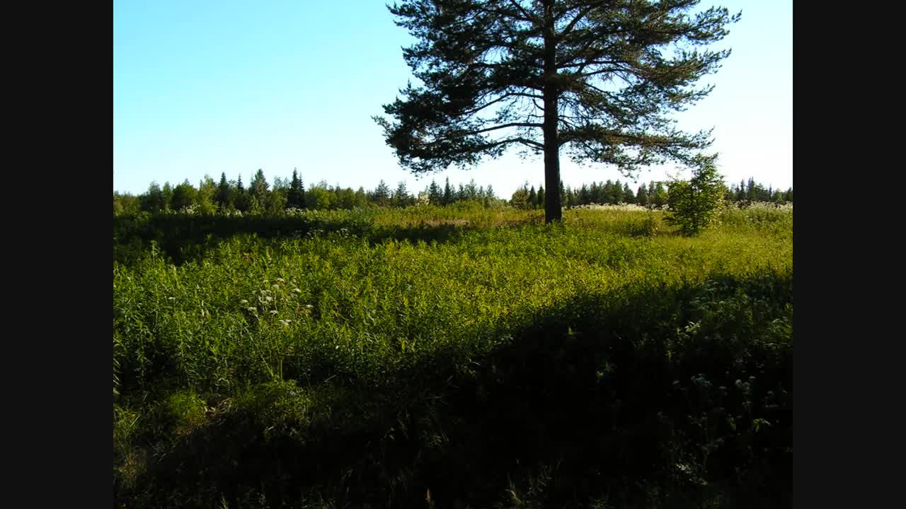 Yö - Tie sydämeeni