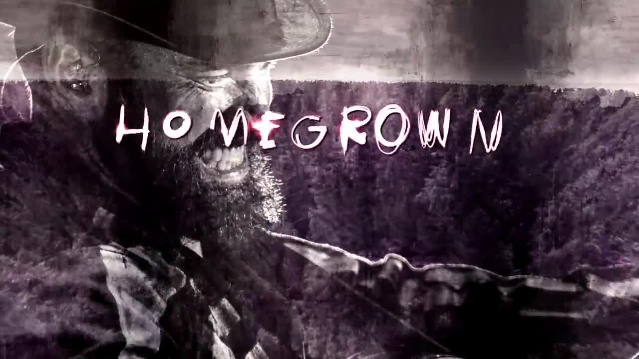 Zac Brown Band - Homegrown