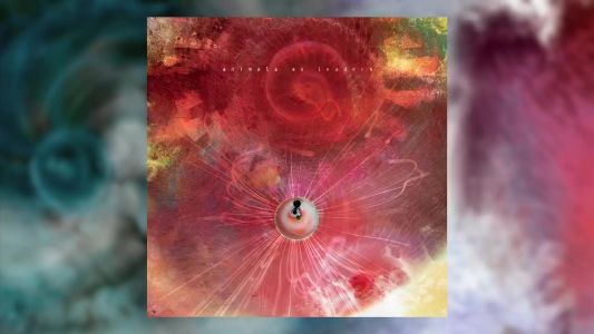 Animals as Leaders - The Woven Web