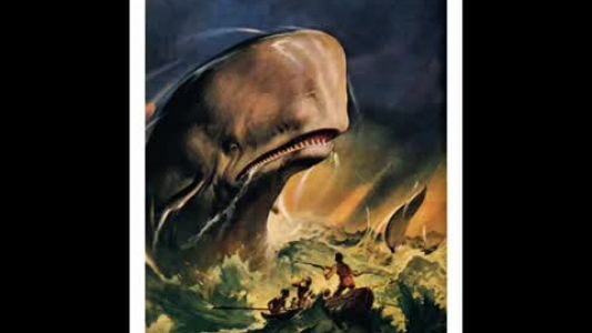 Banco del Mutuo Soccorso - Moby Dick