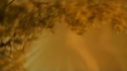 Enigma - Distorted Love