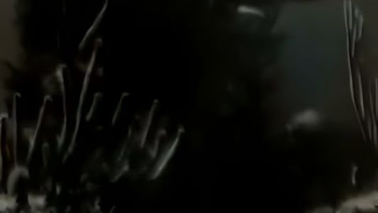 Enigma - Out From the Deep